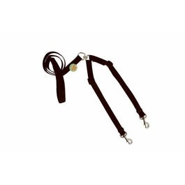 Take Two 2-Dog Leash/Coupler, Black, 5/8 x 60-70-In.