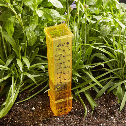 Taylor 2-in-1 Rain and Sprinkler Gauge