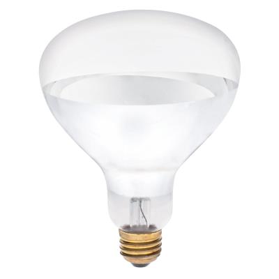 Westinghouse 250 Watt R40 Incandescent Light Bulb