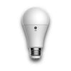 GE Basic LED 100/70/30 Watt Replacement, Daylight, A19 3-Way Bulbs (1 Pack)