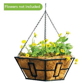 Hanging Basket, Black, 14-In. Sq.