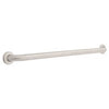 Bath Assist Bar, Stainless Steel, 36-In.