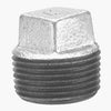 Plug, Galvanized, 1/2-In.