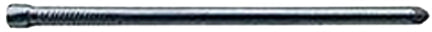 NAIL 10 HG CASING 1 LB
